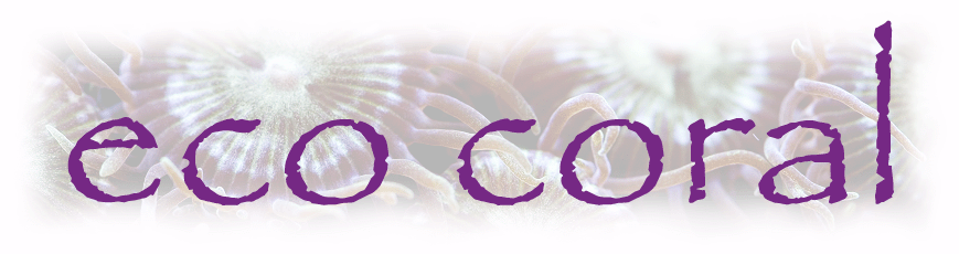 The Coral Farm